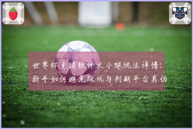 世界杯竞猜软件大小球玩法详情：新手如何避免踩坑与判断平台真伪