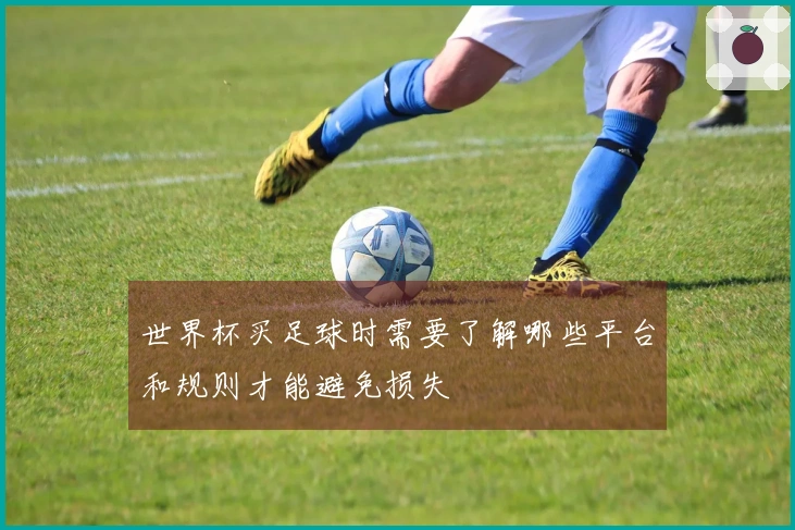 世界杯买足球时需要了解哪些平台和规则才能避免损失