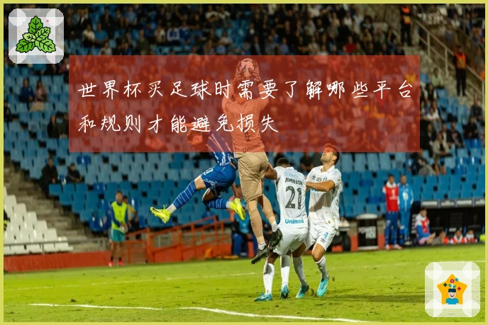 世界杯买足球时需要了解哪些平台和规则才能避免损失