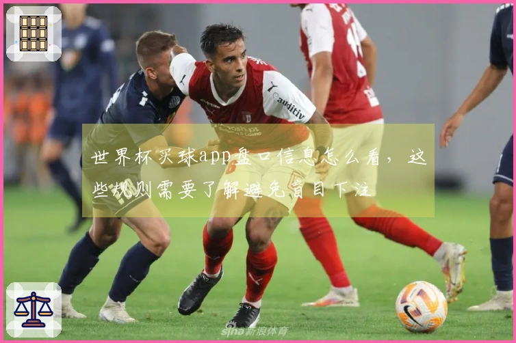 世界杯买球app盘口信息怎么看，这些规则需要了解避免盲目下注