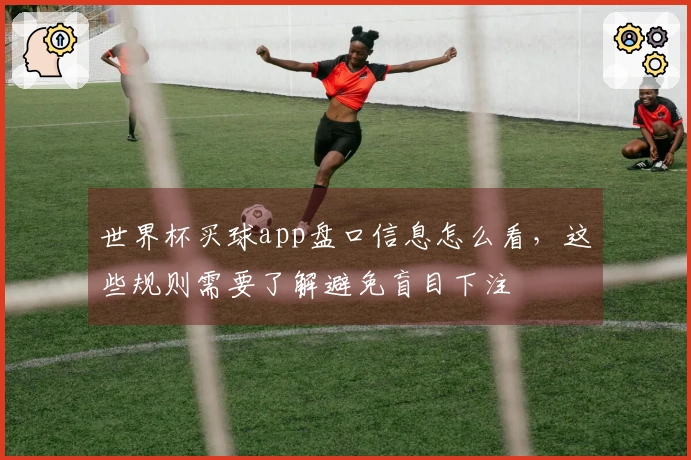 世界杯买球app盘口信息怎么看，这些规则需要了解避免盲目下注